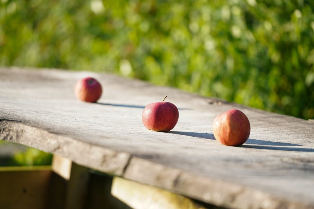 Autumn mushrooms apples and plums on a wooden table